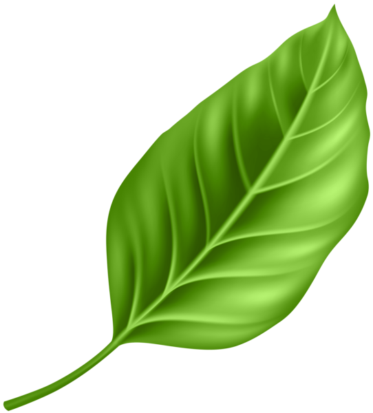 Tube Image